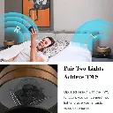 dawn10.webp