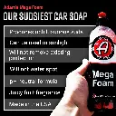 Adam's Mega Foam 7.webp